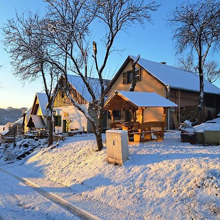 Macskajaj Vendeghaz Villa Mecseknádasd Екстериор снимка