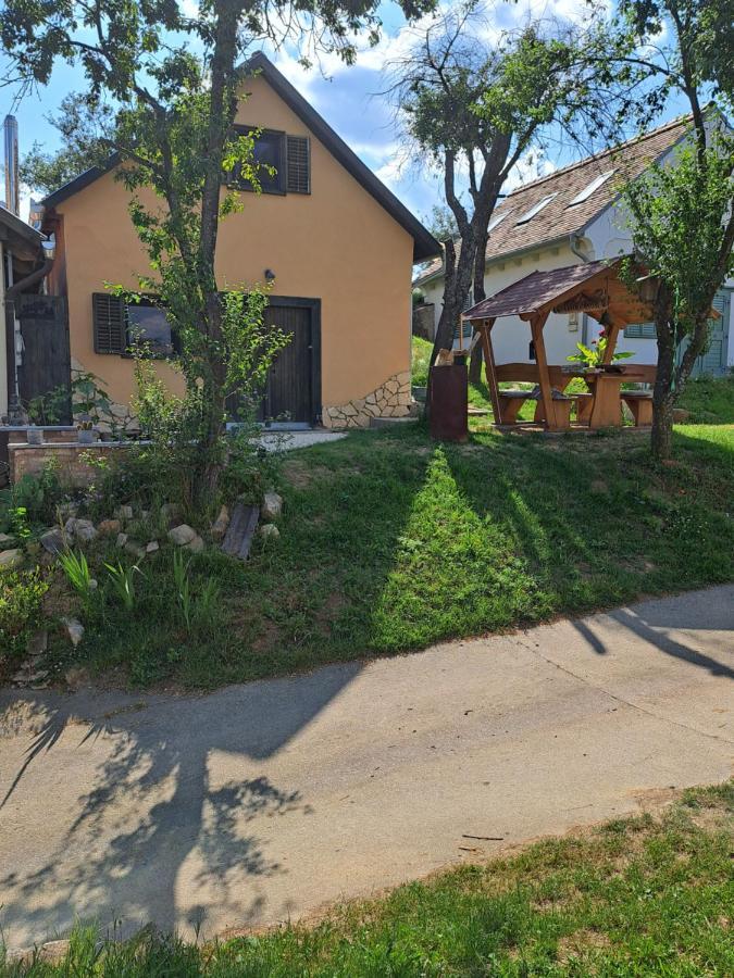 Macskajaj Vendeghaz Villa Mecseknádasd Екстериор снимка