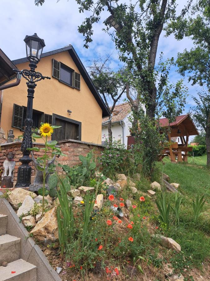 Macskajaj Vendeghaz Villa Mecseknádasd Екстериор снимка
