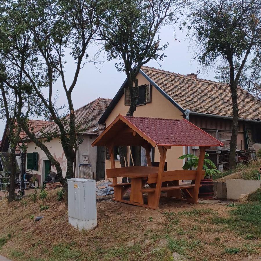 Macskajaj Vendeghaz Villa Mecseknádasd Екстериор снимка