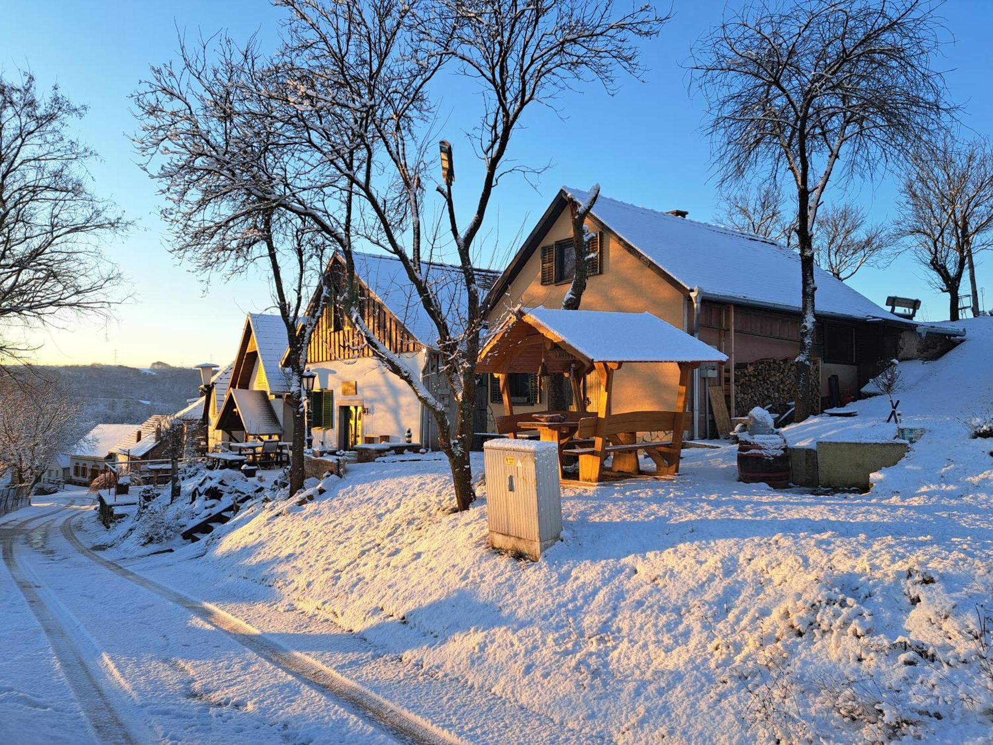 Macskajaj Vendeghaz Villa Mecseknádasd Екстериор снимка