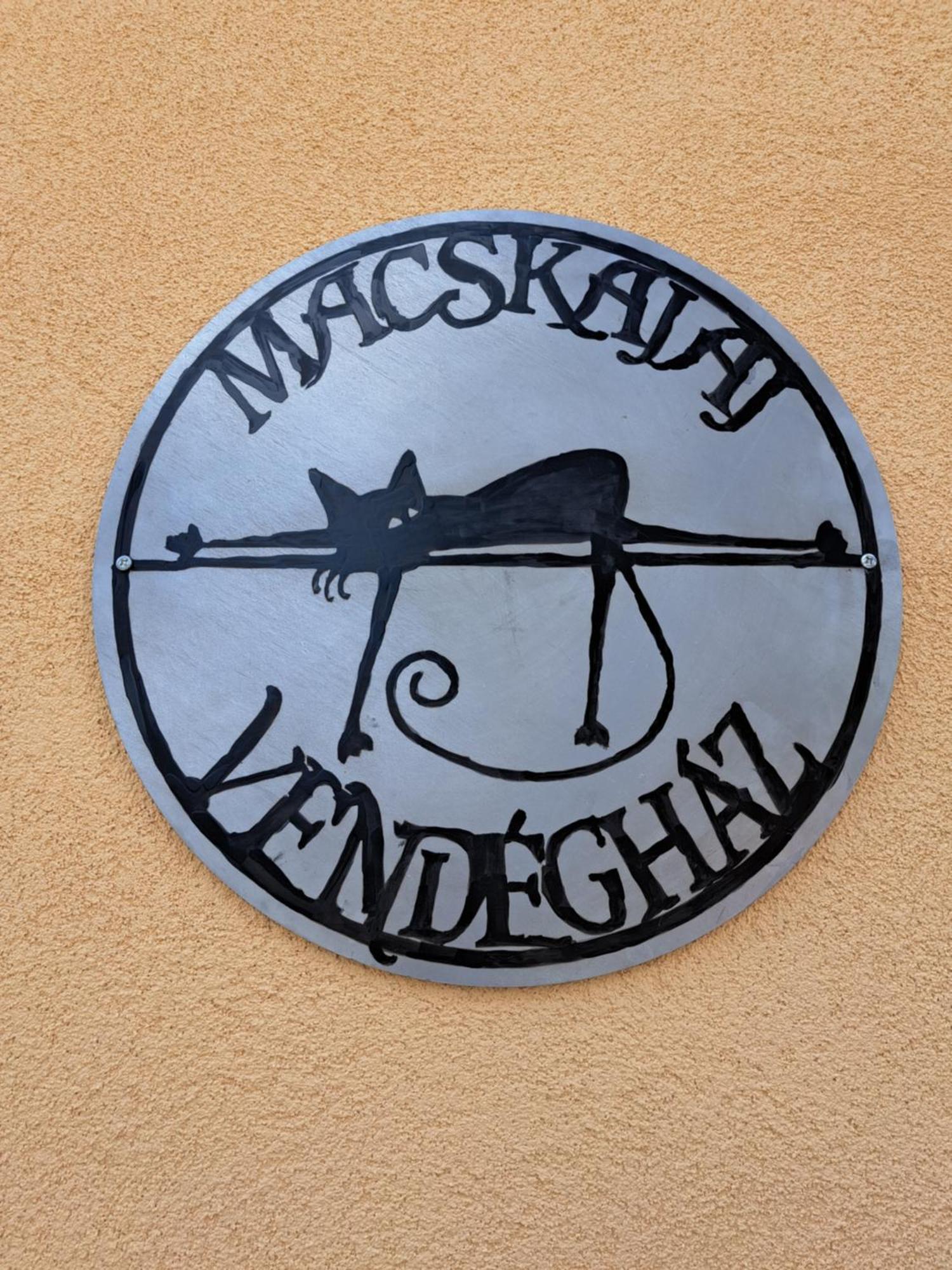Macskajaj Vendeghaz Villa Mecseknádasd Екстериор снимка
