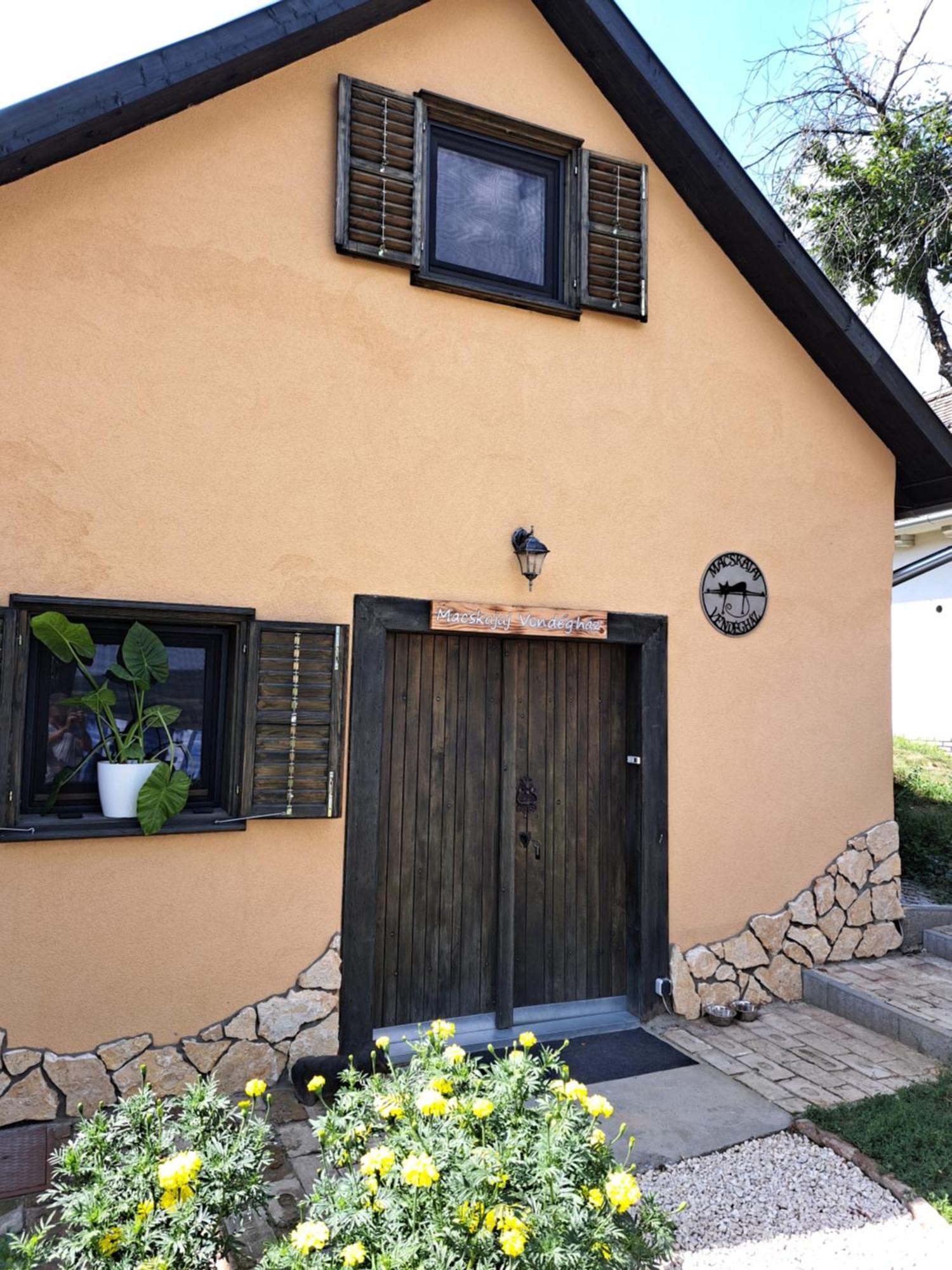 Macskajaj Vendeghaz Villa Mecseknádasd Екстериор снимка